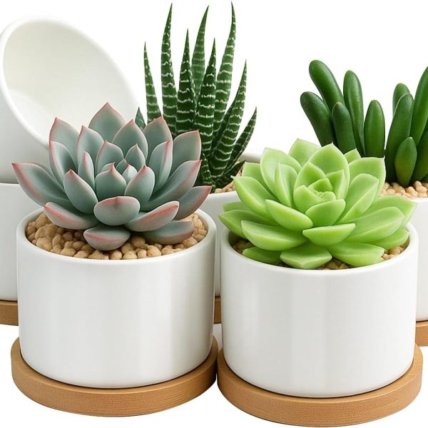 Succulent Pots 3.1 Inch,6 Pack Succulent Planters,Small Pots for Plants with Drainage and Tray,White Ceramic Flower Planters for Indoor Plants,Home,Office,Desk